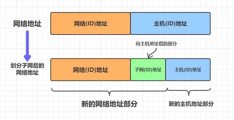 孑子网络 在数字海洋中独行